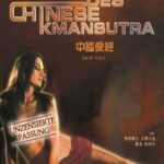 Китайская Камасутра Постер Порно Фильм
